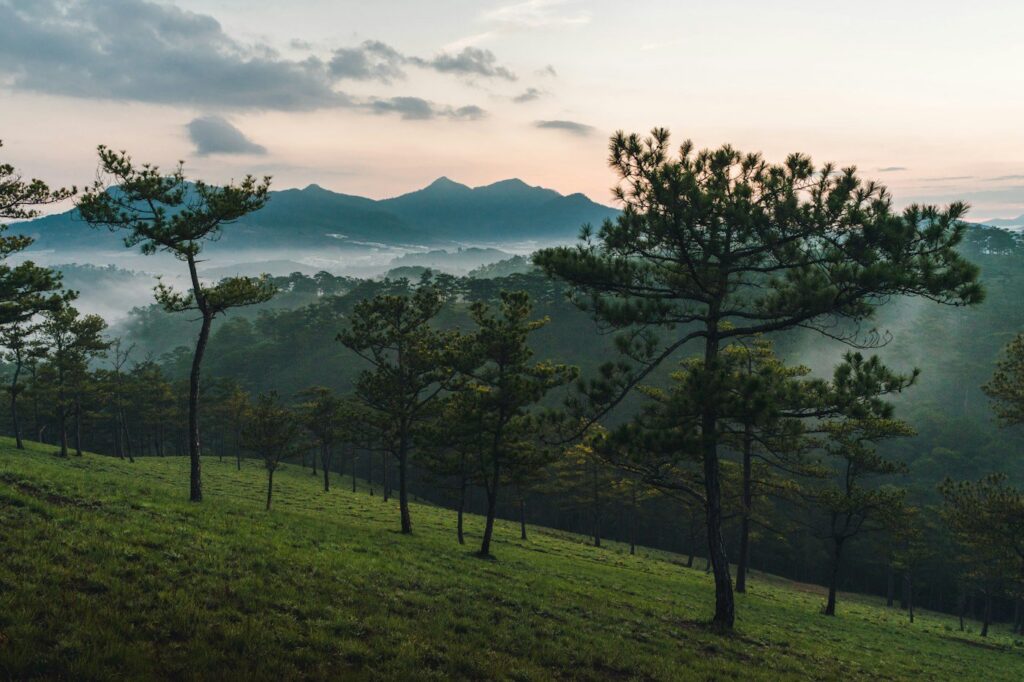 Khung cảnh Đà Lạt